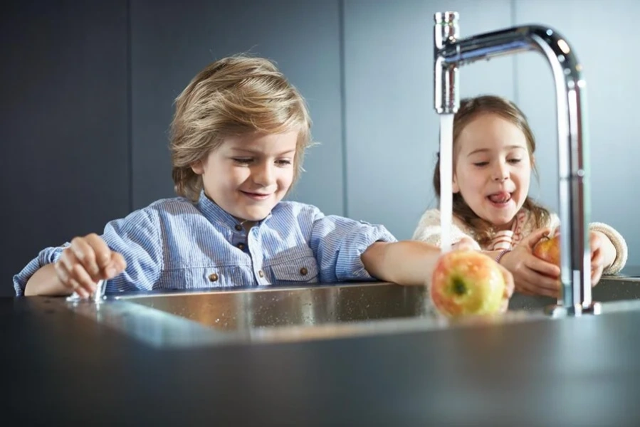 Мойка для кухни Hansgrohe C71-F660-08 сталь 43202800 Мойка для кухни Hansgrohe C71-F660-08 сталь 43202800